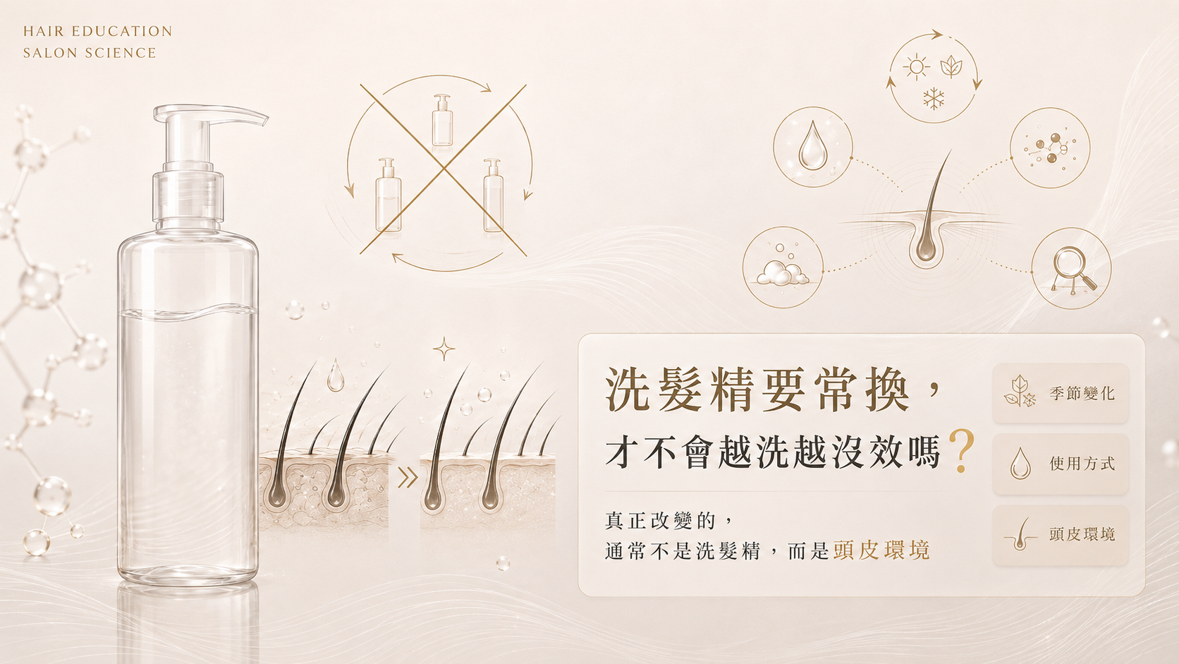 洗髮精要常換，才不會越洗越沒效嗎？洗護條件、頭皮環境與產品評估示意圖